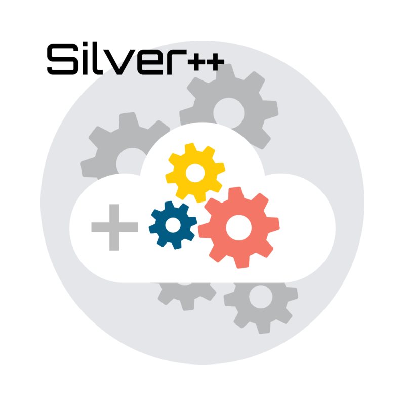 Πρόσθετη Ώρα Τεχνικής Υποστήριξης Silver